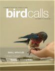 Cover: Bird Calls March 2006