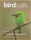 Cover: Bird Calls November 2006