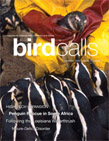 Bird Calls Nov. 2007 cover