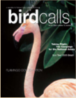 Cover: Bird Calls Winter 2005
