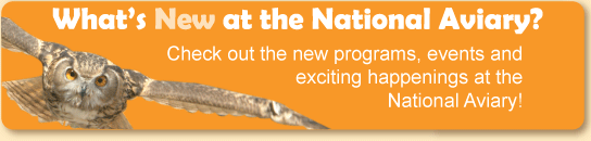Graphic link to What's New at the National Aviary