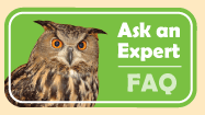 Graphic link to Ask the Expert - FAQ