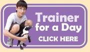 Graphic link to Trainer for a Day