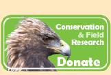 Link to Donate to Conservation and Field Research