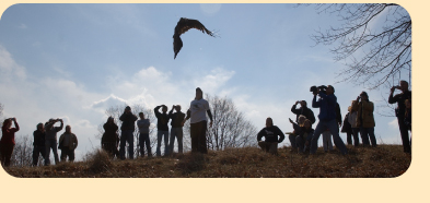 Photo: A golden eagle flies free again; photo by Keith Hodan