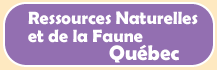 Button: Link to Ressources Naturelles et de la Faune - Quebec