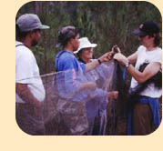 Photo: Researchers with net