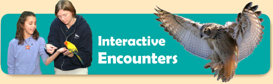 Graphic and Link to Interactive Encounters - Trainer for a Day, Aviary Workshops and Penguin Connection