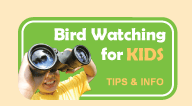 Link to Bird Watching For Kids