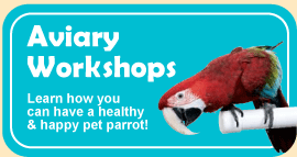 Graphic and Link to Aviary Workshops