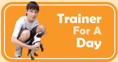 Graphic and Link to Trainer For A Day