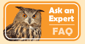 Button and Link to Ask An Expert