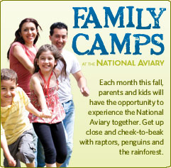 Family Camps at the National Aviary