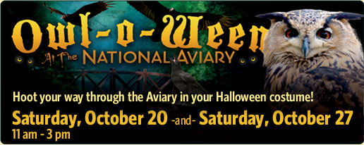 Owl-o-ween at the National Aviary
