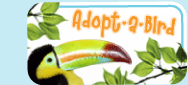 Adopt-A-Bird