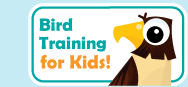 Bird training for kids