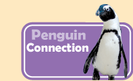 Link to Penguin Connection