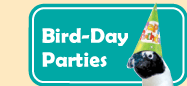 Bird Day parties