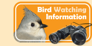 Bird Watching Information