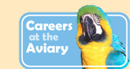 Careers at the Aviary