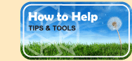 How to Help - tips and tools