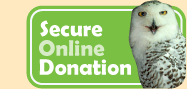 Secure online donation