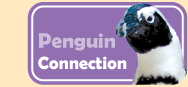 Penguin Connection