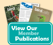 View Our Member Publications