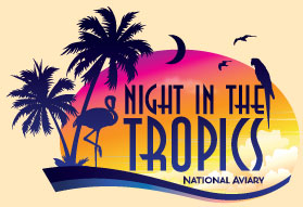 Night in the Tropics