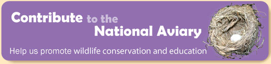 Contribute to the National Aviary