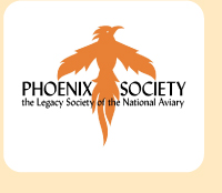 Graphic: The Phoenix Society logo