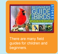 Graphic: There are many field guides for children and beginners.