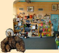 Plush stuffed sloth in the National Aviary gift shop