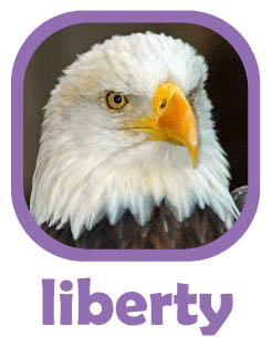 CLICK to select Liberty, a bald eagle