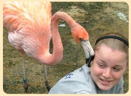 Photo: flamingo preening a girl