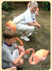 Photo: flamingo with boy and woman