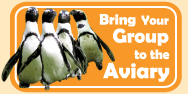 Graphic link to Bring Your Group to the Aviary
