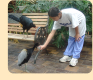 Photo: Trainer for a Day participant feeding birds in the Wetlands