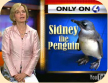 Link to YouTube video: Sidney the Penguin from WTAE Television