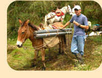 Photo: Researchers in the Andean Forests of Ecuador