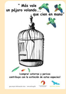 Poster in Spanish: One bird flying is more valuable than 100 in captivity