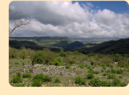 Photo: Landscape on Hispaniola; photo from Steven Latta